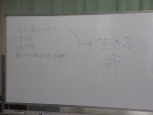 Img_0435 Img_0435