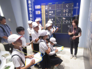 Img_0477 Img_0477