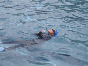 Img_0715 Img_0715
