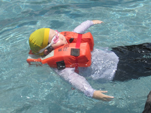Img_0734 Img_0734