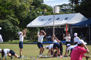 Dsc_0421 Dsc_0421