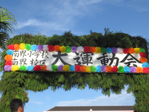 Img_1381 Img_1381