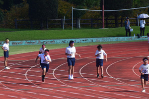 Dsc_0599 Dsc_0599