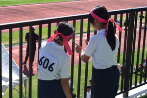Dsc_0648 Dsc_0648