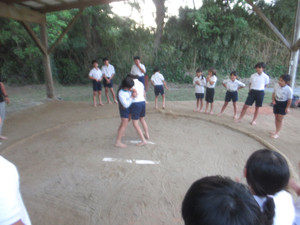 Img_1745 Img_1745
