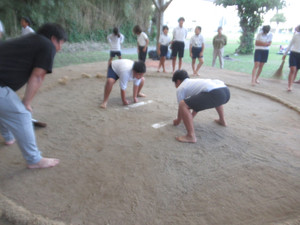 Img_1746 Img_1746