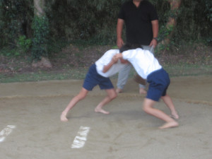 Img_1758 Img_1758